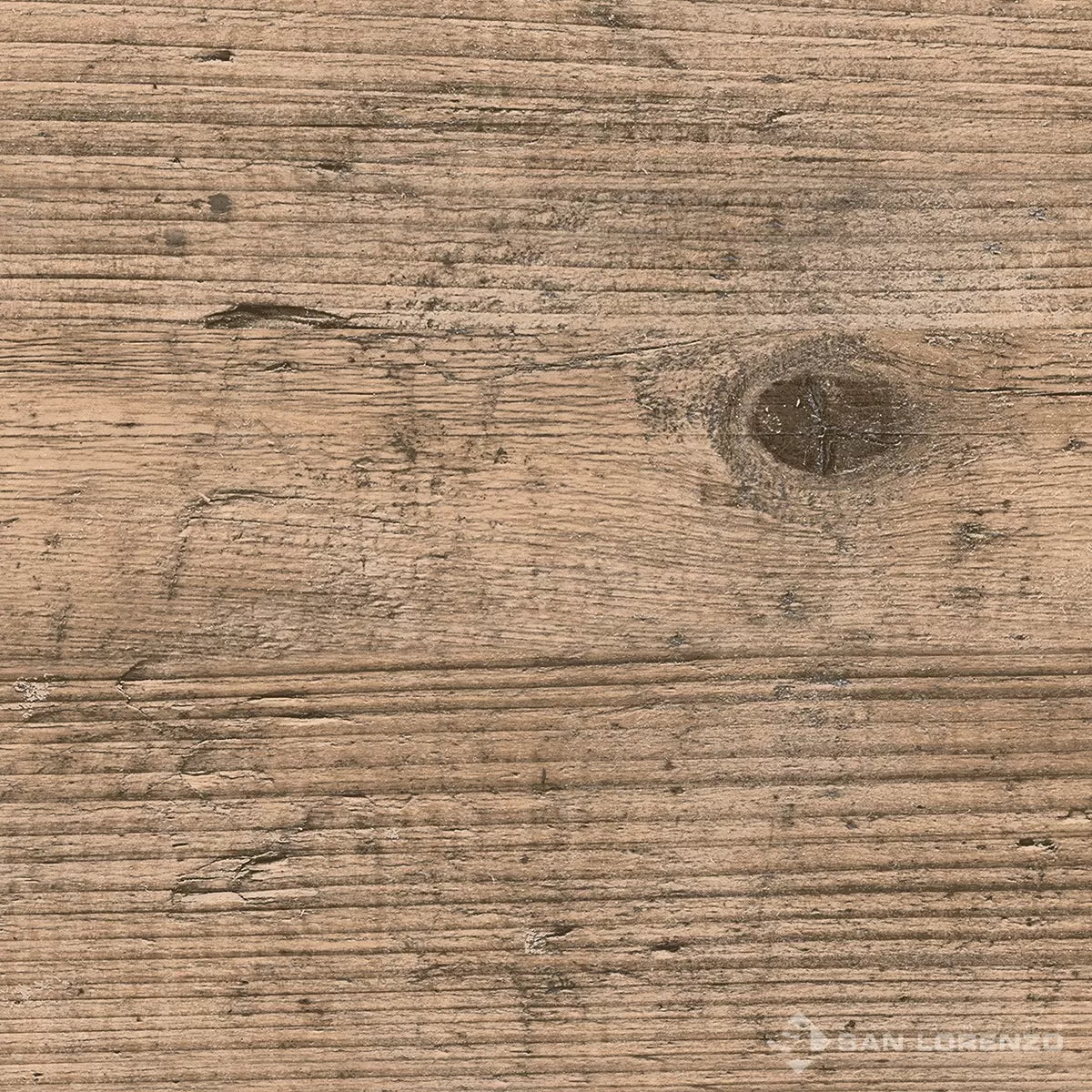 Cardon Oak - 58x58 - Porcelain - San Lorenzo - 1st (m2)