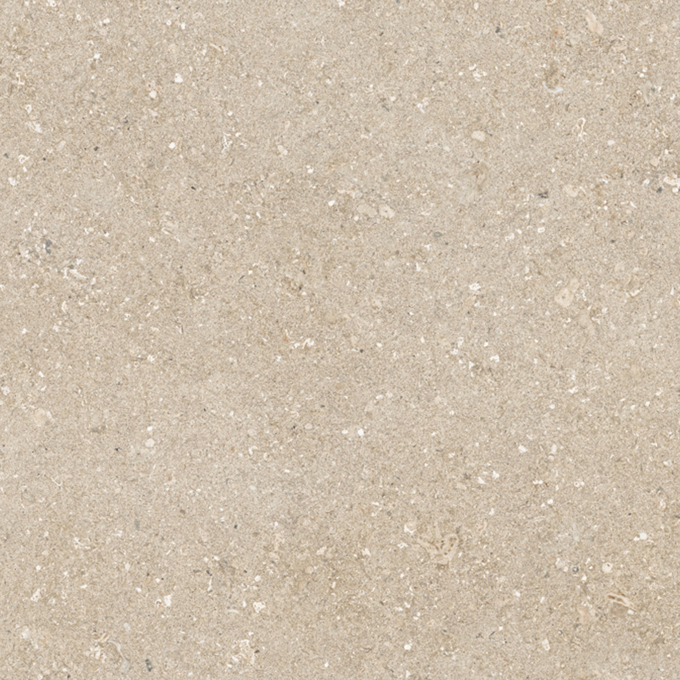 Crete Beige - 51x51 - Ceramic - Cerro Negro - 1st (m2) 